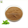 The Best Lemon Balm Extract Melissa Officinalis Extract